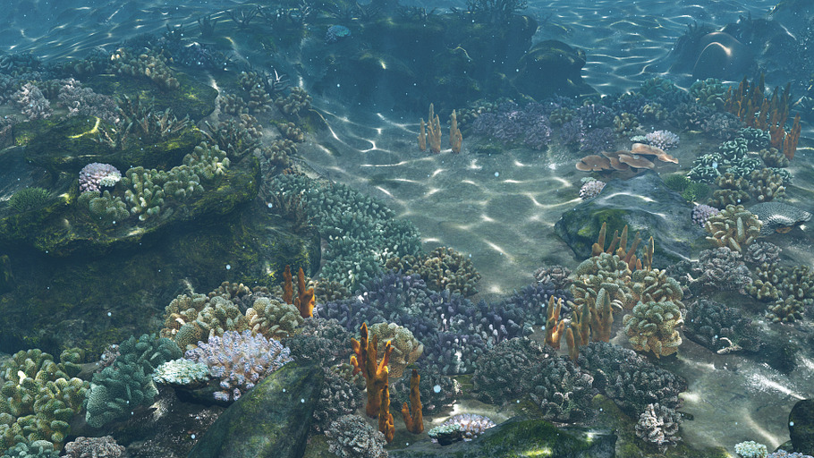 Underwater Coral Reef Habitat Ocean in Nature - product preview 7