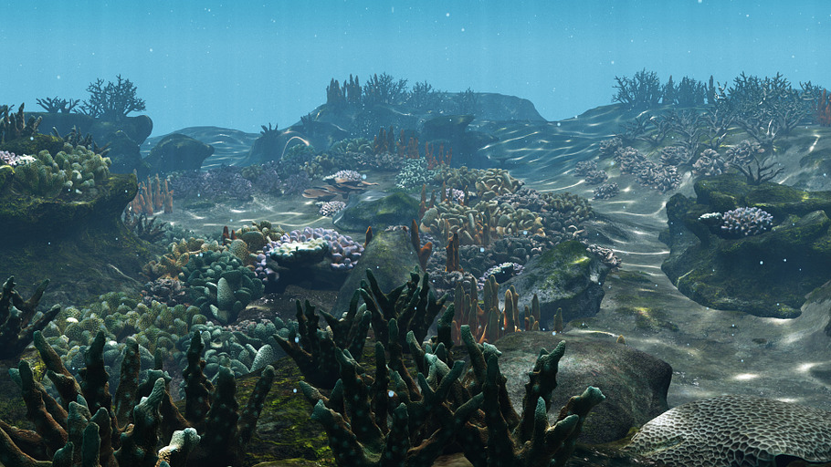 Underwater Coral Reef Habitat Ocean in Nature - product preview 8