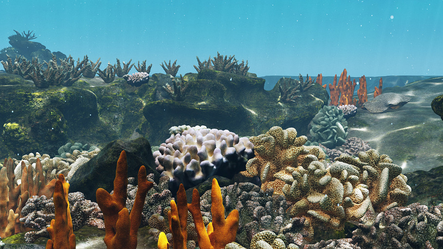 Underwater Coral Reef Habitat Ocean in Nature - product preview 10