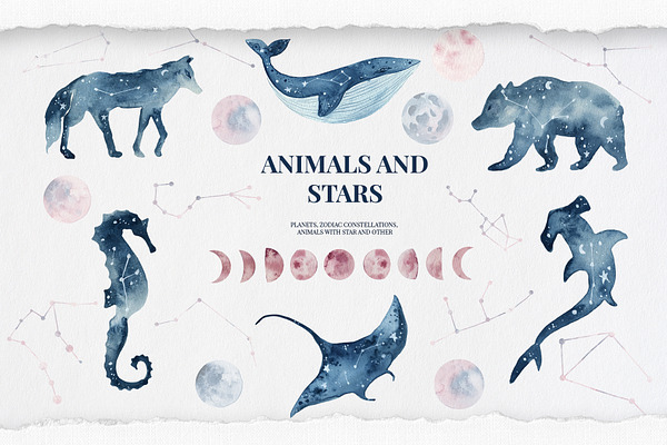 Animals and stars collection