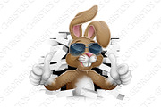 Easter Bunny Cool Rabbit Sunglasses