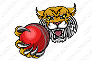 Wildcat Holding Cricket Ball Mascot