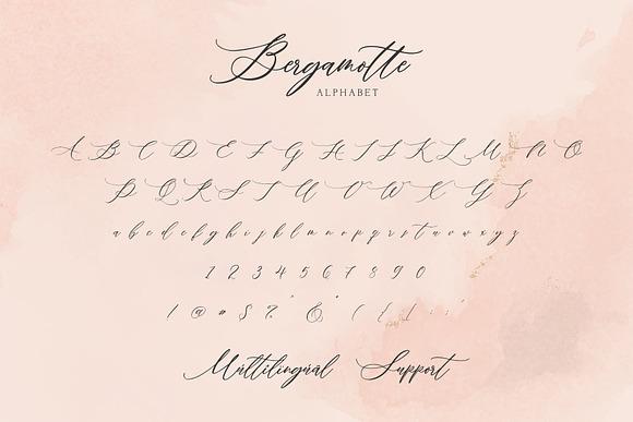 Bergamotte - Fine Art Calligraphy in Script Fonts - product preview 7