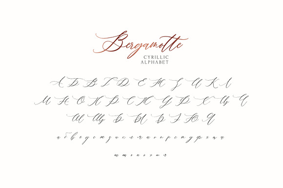 Bergamotte - Fine Art Calligraphy in Script Fonts - product preview 8