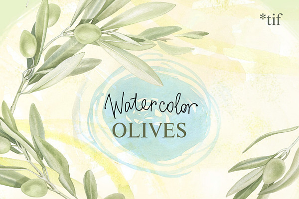 Watercolor set of olive branches
