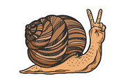 Fantastic snail hand animal sketch