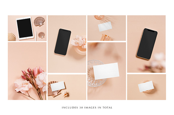 Coral Stock Photo & Mockup Bundle in Branding Mockups - product preview 1