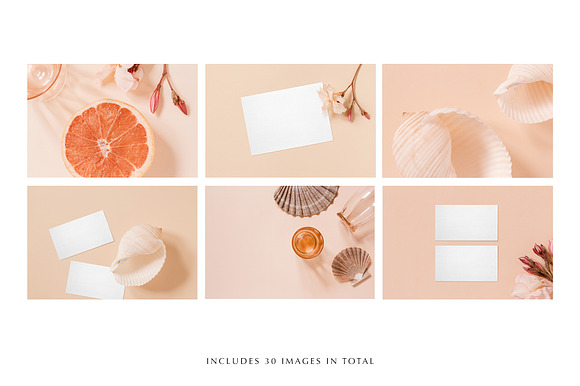 Coral Stock Photo & Mockup Bundle in Branding Mockups - product preview 4