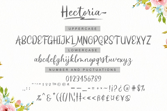 Hectoria Script in Script Fonts - product preview 7
