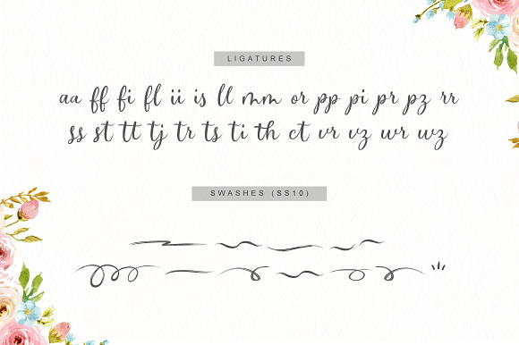 Hectoria Script in Script Fonts - product preview 9