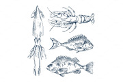 Seafood and fish vector engraving