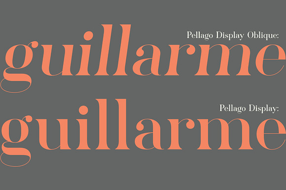 Pellago — Classic 60-Font Serif in Serif Fonts - product preview 2