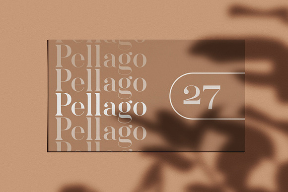 Pellago — Classic 60-Font Serif in Serif Fonts - product preview 8