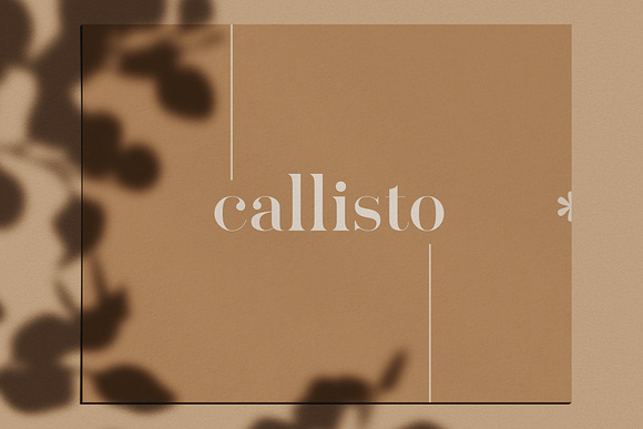 Pellago — Classic 60-Font Serif in Serif Fonts - product preview 9