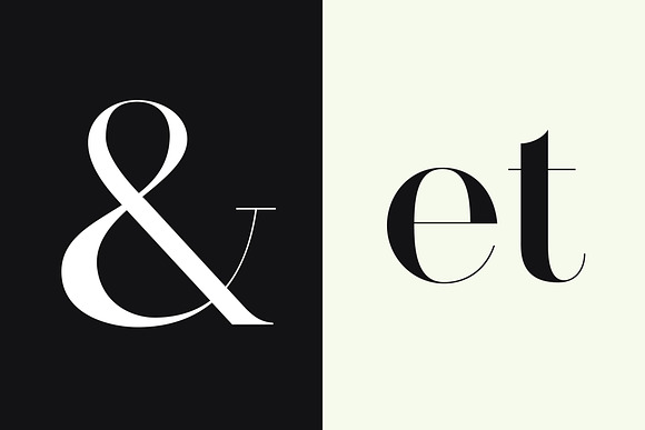 Pellago — Classic 60-Font Serif in Serif Fonts - product preview 13