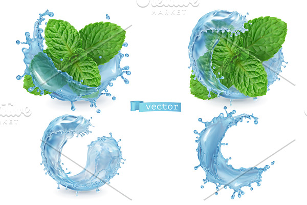 Mint, water splash. Realistic vector