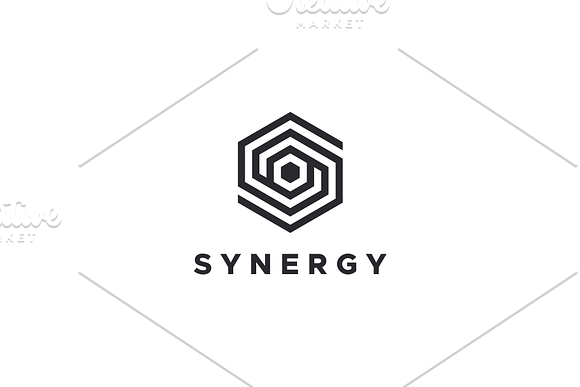 Hexagon S Logo in Logo Templates - product preview 2