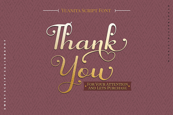 Yuanita - Modern Calligraphy Font in Script Fonts - product preview 13
