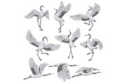 Set of white cranes in different