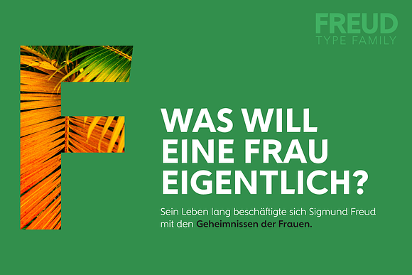 FREUD Complete Family in Sans-Serif Fonts - product preview 1
