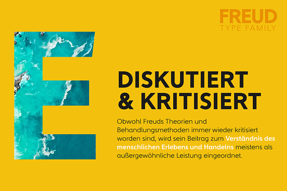 FREUD Complete Family in Sans-Serif Fonts - product preview 3