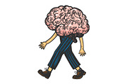 Human brain walks on its feet