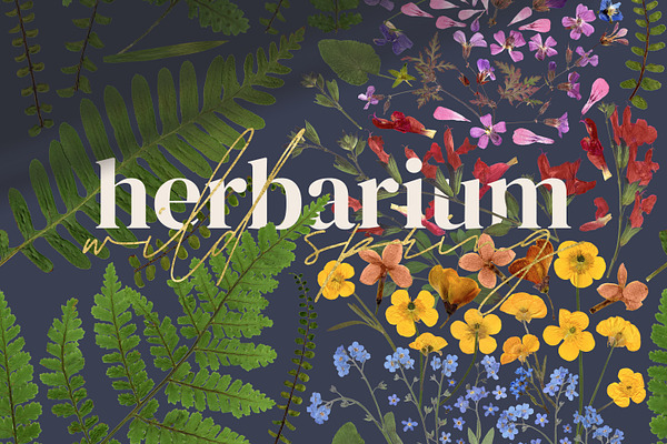 Herbarium vol. 2: Wild Spring