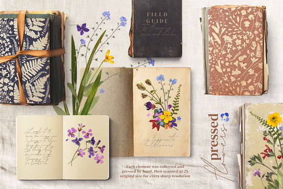 Herbarium vol. 2: Wild Spring in Illustrations - product preview 1