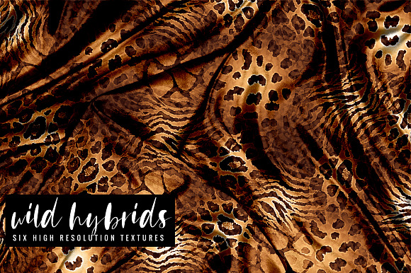 Wild Hybrids in Textures - product preview 2