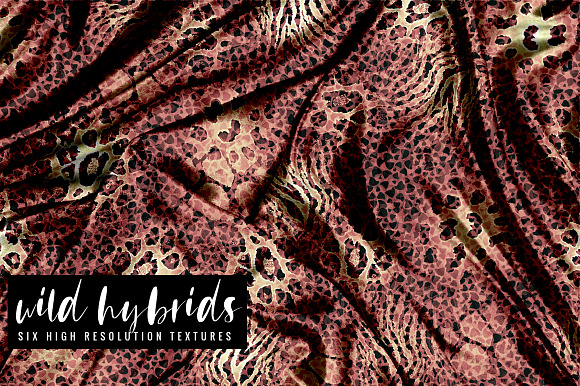 Wild Hybrids in Textures - product preview 4