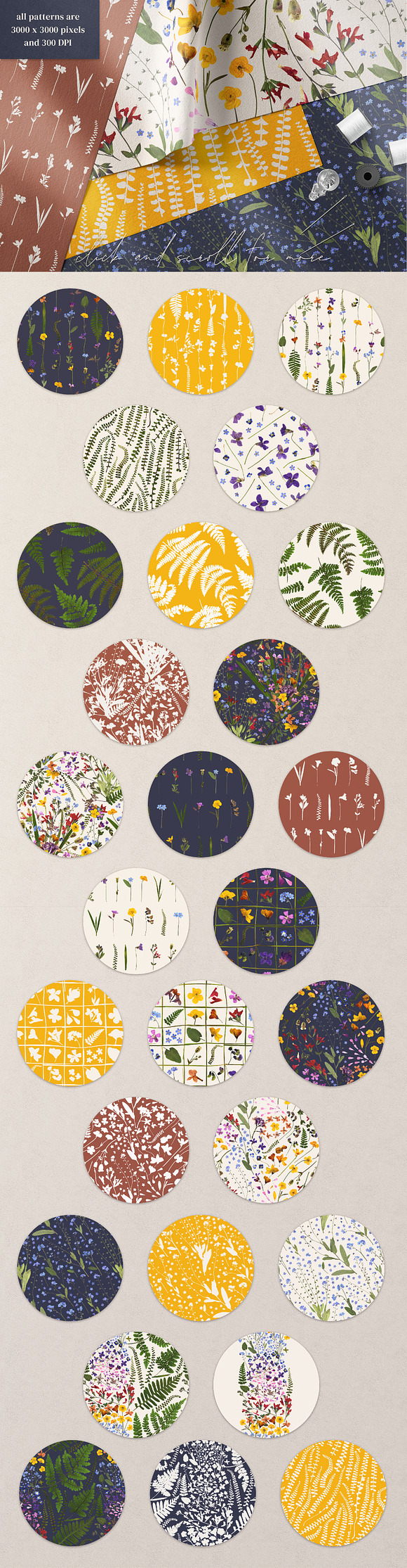 Herbarium vol. 2: Wild Spring in Illustrations - product preview 8