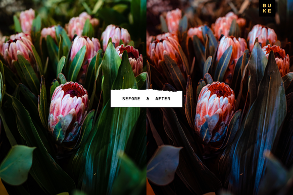Deep Coral 4 Lightroom Preset Bundle in Add-Ons - product preview 3