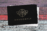 Dragonfly Logo Template