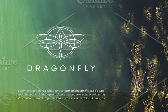 Dragonfly Logo Template in Logo Templates - product preview 2