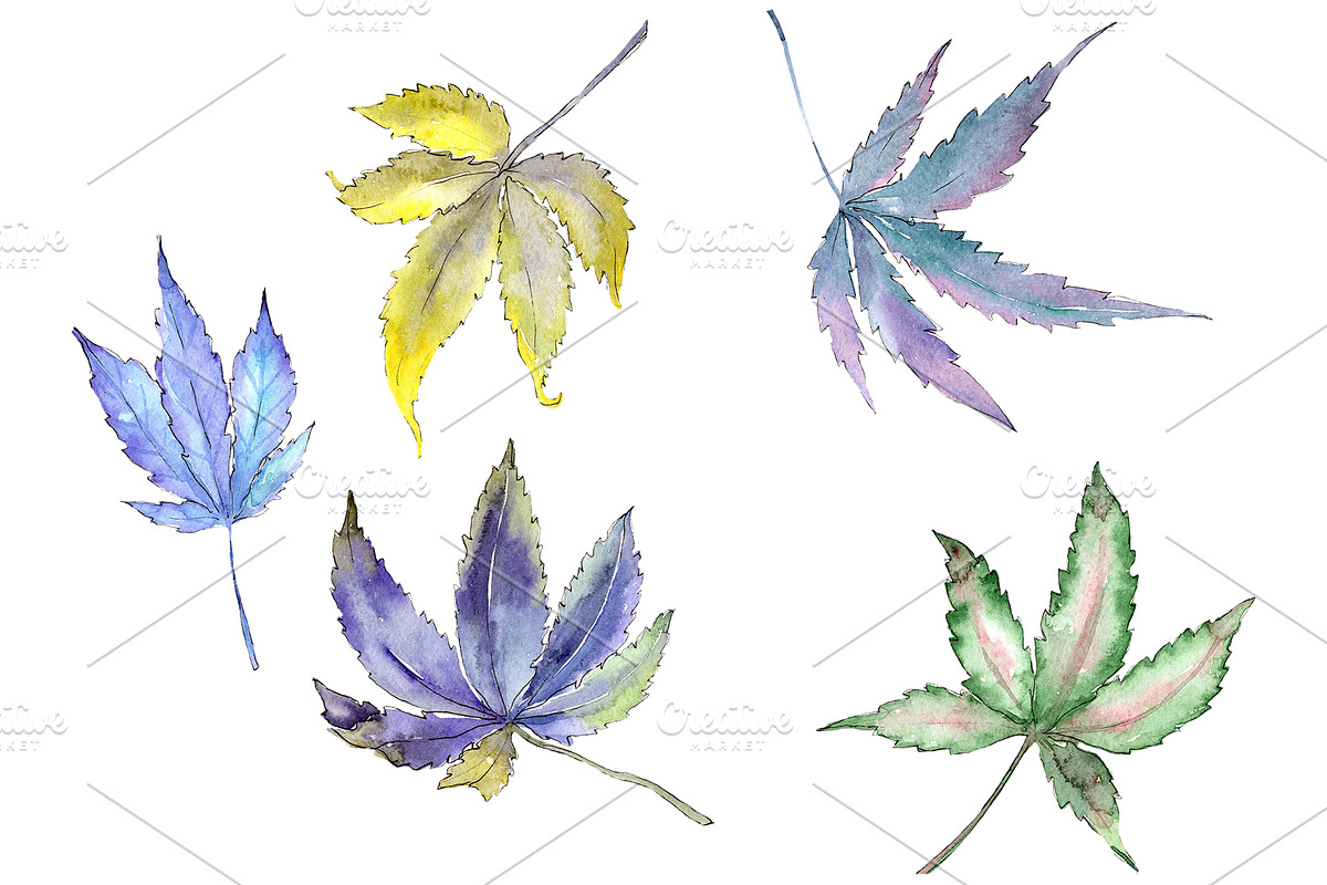 Cannabis plant watercolor png in Illustrations - product preview 8