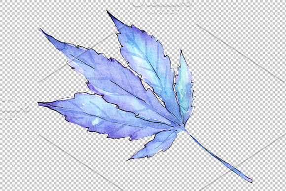 Cannabis plant watercolor png in Illustrations - product preview 1