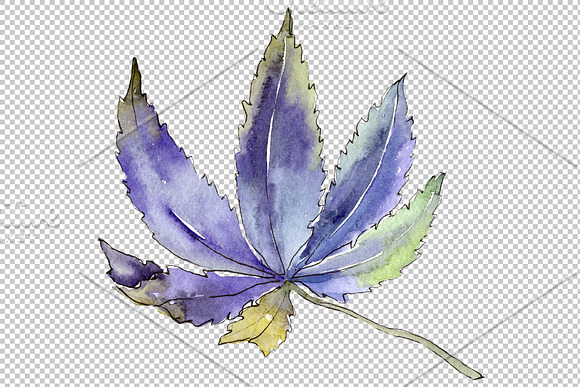 Cannabis plant watercolor png in Illustrations - product preview 3