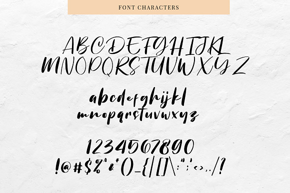 Chellyne - Modern Script Font in Script Fonts - product preview 6