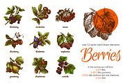 Berries Sketch Set