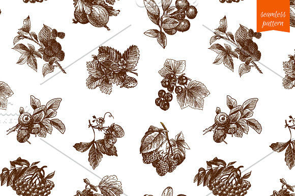 Berries Sketch Set in Illustrations - product preview 1
