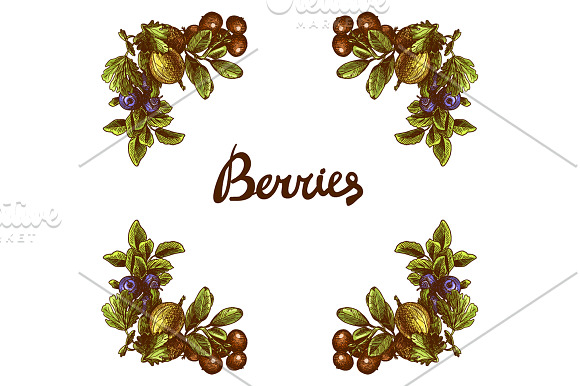 Berries Sketch Set in Illustrations - product preview 3