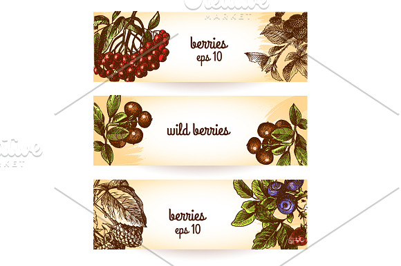 Berries Sketch Set in Illustrations - product preview 4
