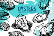 Oysters. Seafood engraving set