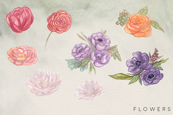 Succulent Blooms Watercolor Images in Illustrations - product preview 3
