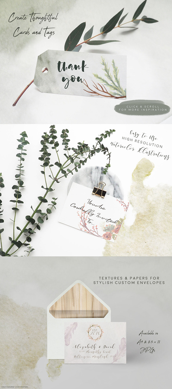 Succulent Blooms Watercolor Images in Illustrations - product preview 8