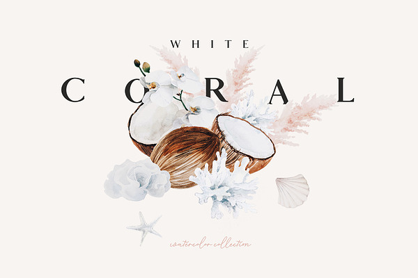 White coral - watercolor set