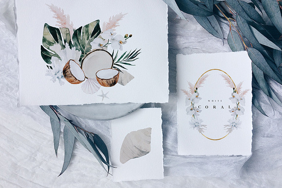 White coral - watercolor set in Illustrations - product preview 1