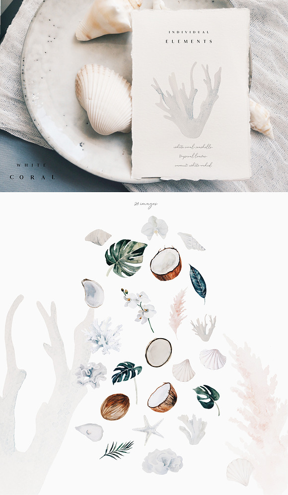 White coral - watercolor set in Illustrations - product preview 2