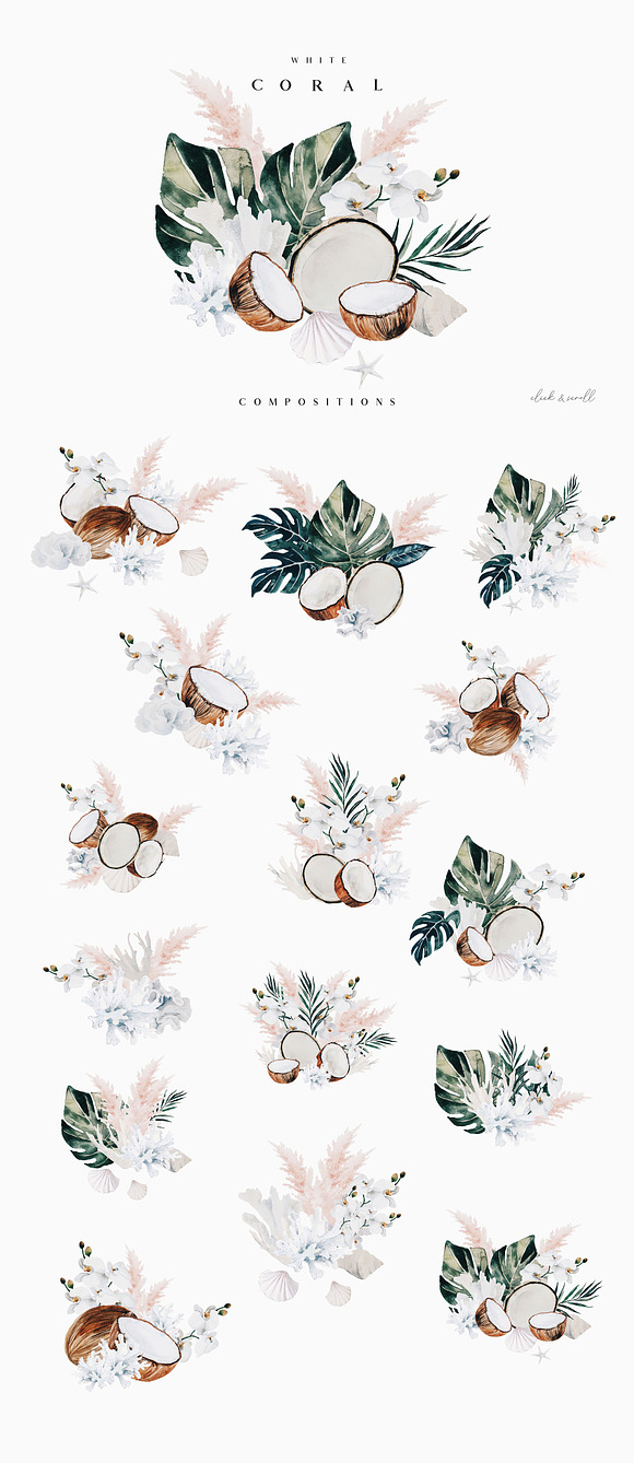 White coral - watercolor set in Illustrations - product preview 3