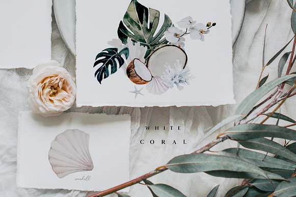 White coral - watercolor set in Illustrations - product preview 4